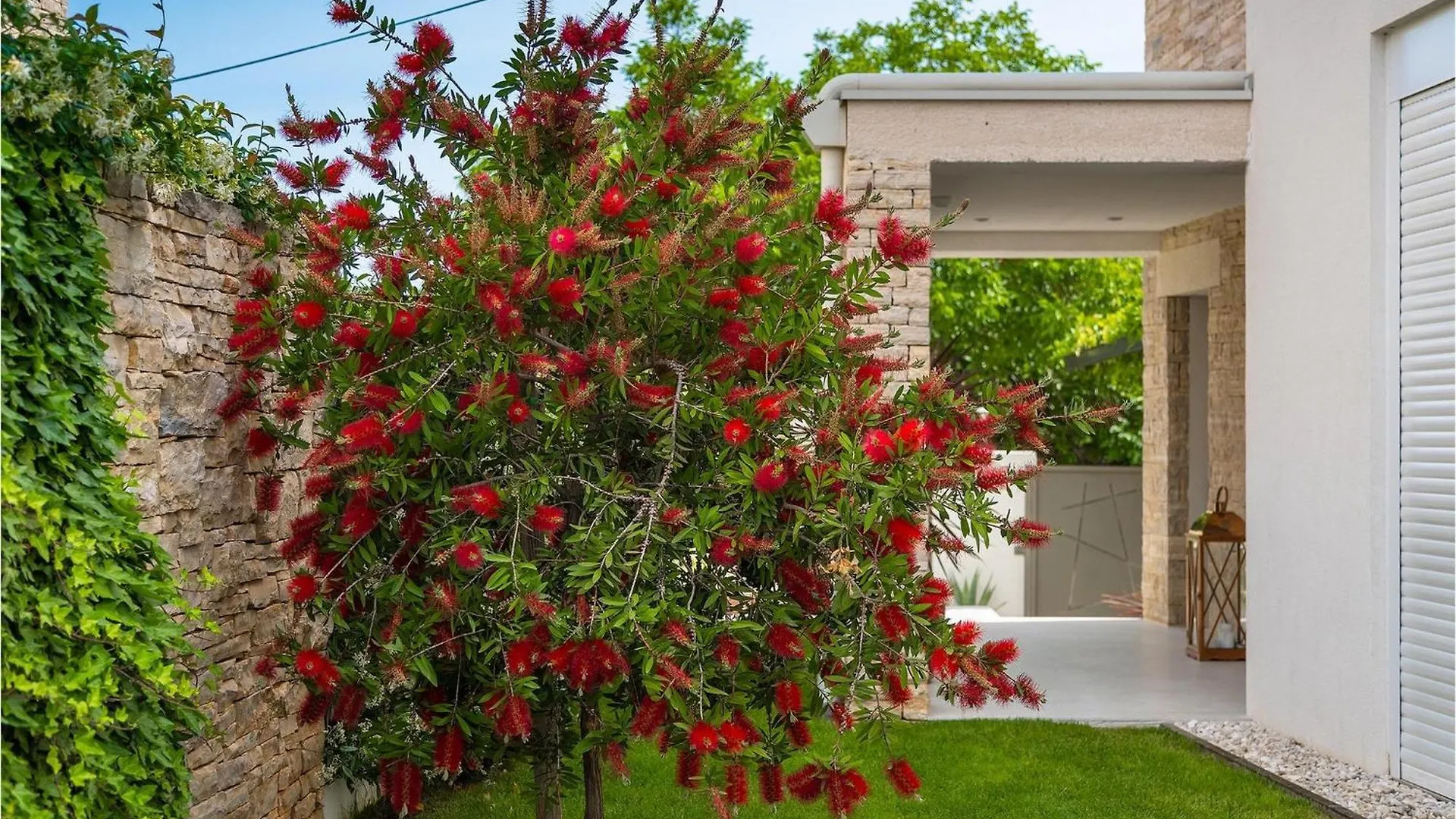 Villa White Rovinj Сasa de vacaciones